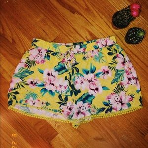 ☆ Hollister shorts ☆